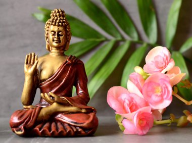 Buda Zen bahçesinde bulunan çiçek