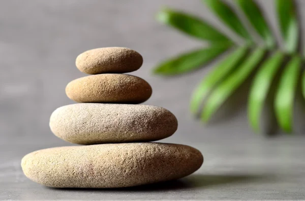 Stones balance and palm on grey background. — Stock Photo, Image