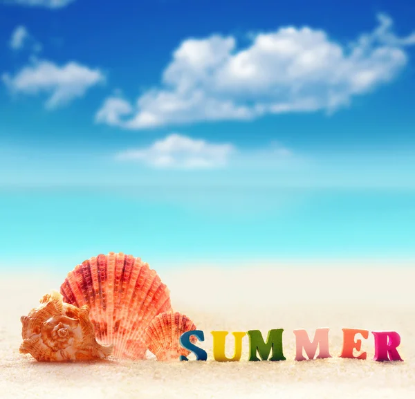 Yaz plaj ve deniz kabuğu renkli harflerin kelime — Stok fotoğraf