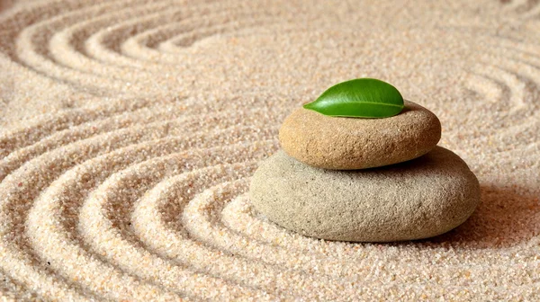 Piedras y hoja verde en la arena con círculos —  Fotos de Stock