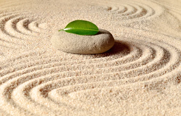 Steine und grünes Blatt im Sand mit Kreisen — Stockfoto