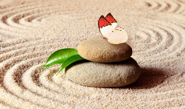 Vlinder aan een steen zen met cirkel in het zand. — Stockfoto