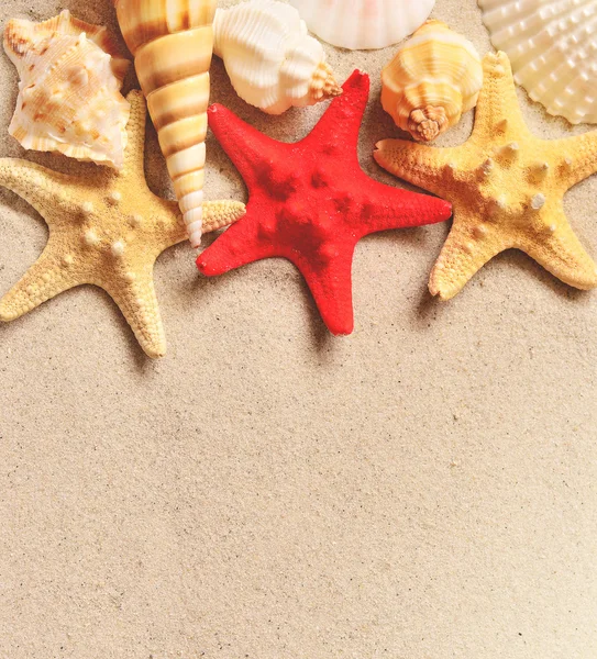 De belles étoiles de mer sur fond de sable . — Photo