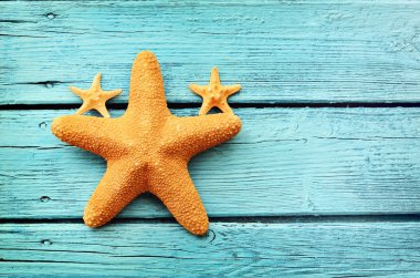 Mavi ahşap arka planda denizyıldızı. Üstte görüntü .