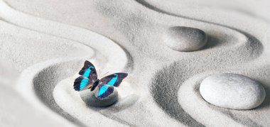 Zen bahçesi meditasyon taşı arka plan ve rahatlama dengesi ve ahenk ruhsallığı veya spa sağlığı için kumdaki taşlar ve çizgilerle kelebek..