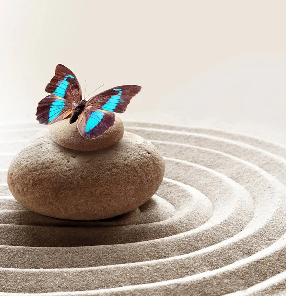 Zen Garden Meditation Stone Background Butterfly Stones Circles Sand Relaxation — Stock Photo, Image