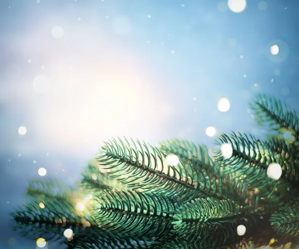 Christmas Lights Pine Branches Snow Winter Christmas Secret Blue Festive — Stock Photo, Image