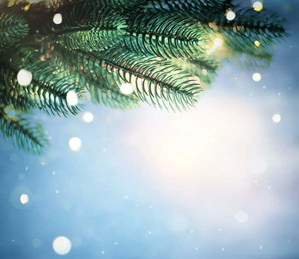 Christmas Lights Pine Branches Snow Winter Christmas Secret Blue Festive — Stock Photo, Image