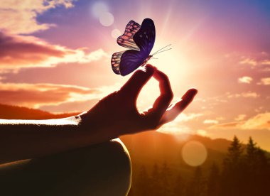 Meditasyon pozu ve kelebek pozisyonundaki bir eli kapat. Dağlarda gün batımı.