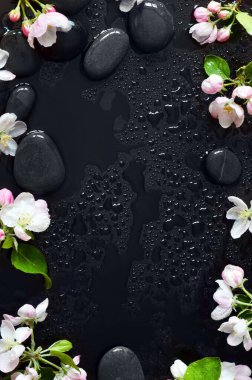 Siyah arka planda suyla kaplıca taşları ve pembe çiçekler. Spa konsepti.
