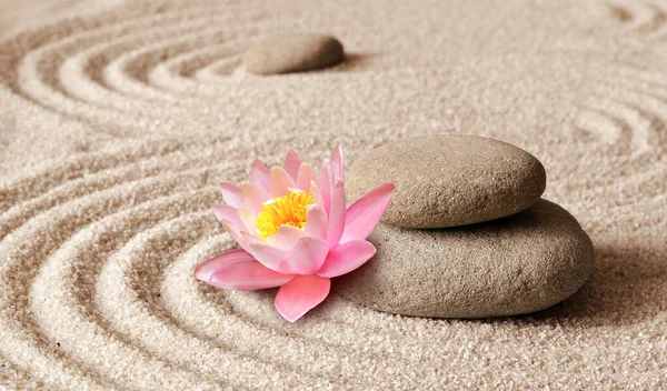 Zen Garden Meditation Stone Background Flower Stones Lines Sand Relaxation — Stock Photo, Image