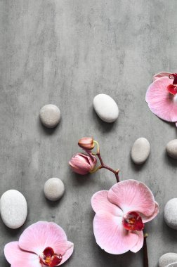 Spa taşlı düz kompozisyon, gri arkaplanda orkide pembe çiçek. Spa konsepti.