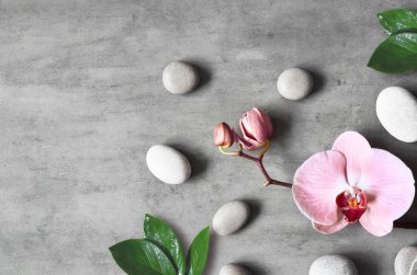 Spa taşlı düz kompozisyon, gri arkaplanda orkide pembe çiçek. Spa konsepti.