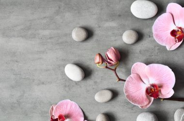 Spa taşlı düz kompozisyon, gri arkaplanda orkide pembe çiçek. Spa konsepti.