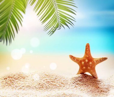 Kumsalda deniz yıldızı ve avuç içi. Yaz zamanı. Yaz konsepti.