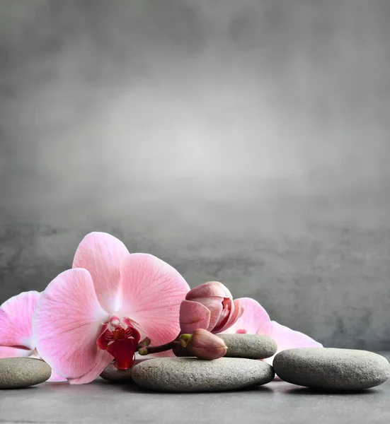 Pedras de spa e orquídea rosa no fundo cinza. — Fotografia de Stock