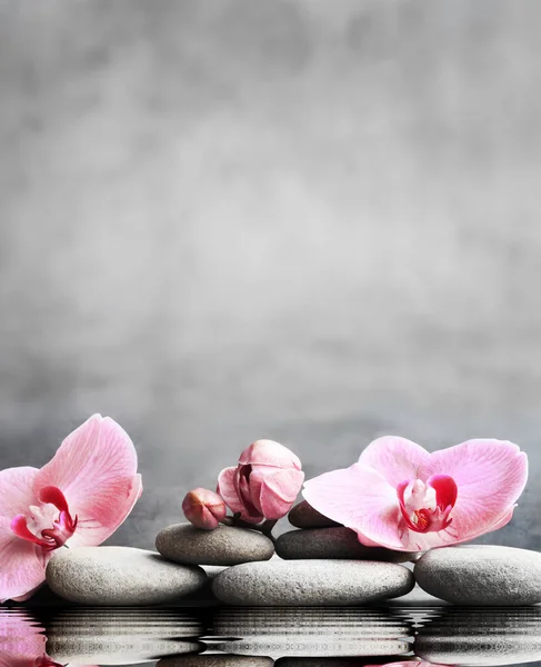 Комплект Розовой Орхидеи Серых Спа Камней Воде Отражении Концепция — стоковое фото