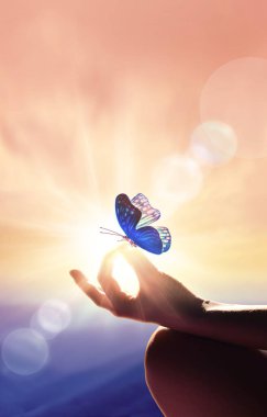 Meditasyon pozu ve kelebek pozisyonundaki bir eli kapat. Dağlarda gün batımı.