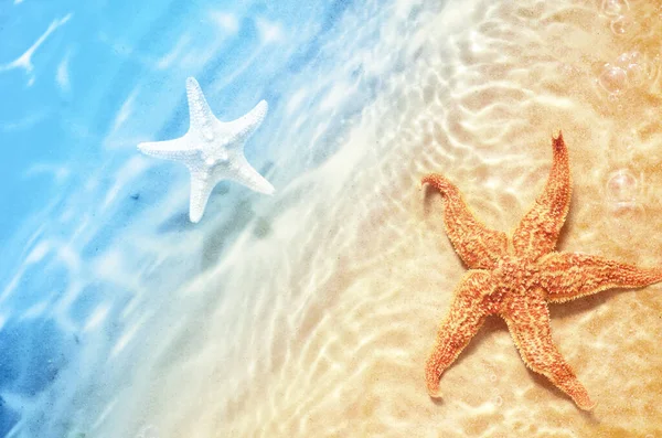 Estrella Mar Playa Verano Agua Mar Fondo Verano Hora Verano — Foto de Stock