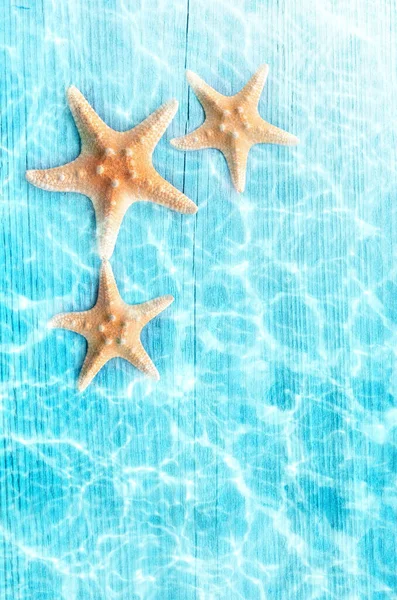 Trois Étoiles Mer Sur Plage Été Dans Eau Mer Fond — Photo