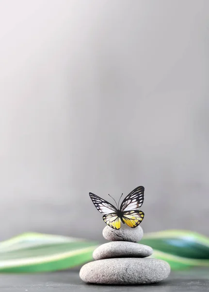 Спа Камені Пальмовим Листом Метеликом Сірому Фоні Концепція Спа — стокове фото