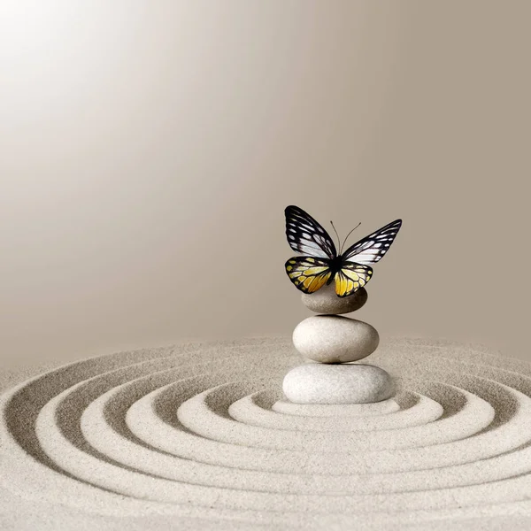 Японский Дзен Сад Медитации Каменной Концентрации Релаксации Песок Рок Бабочкой — стоковое фото