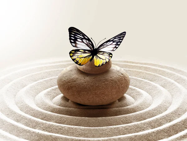 Zen Garden Meditation Stone Background Butterfly Stone Circles Sand Relaxation — Stock Photo, Image