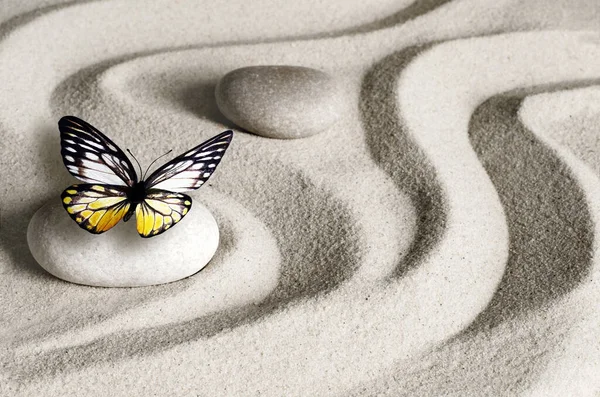 Japanese Zen Garden Meditation Stone Butterfly Concentration Relaxation Sand Harmony — Stock Photo, Image