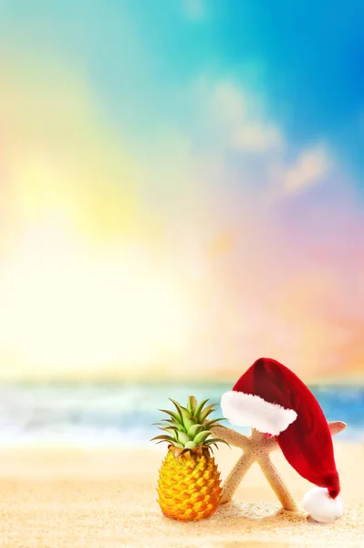 Stella Marina Cappello Babbo Natale Sulla Spiaggia Estiva Concetto Natale — Foto Stock
