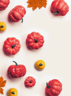 Yaratıcı model, sonbahar geçmişi. Beyaz arka planda turuncu balkabakları. Cadılar Bayramı.