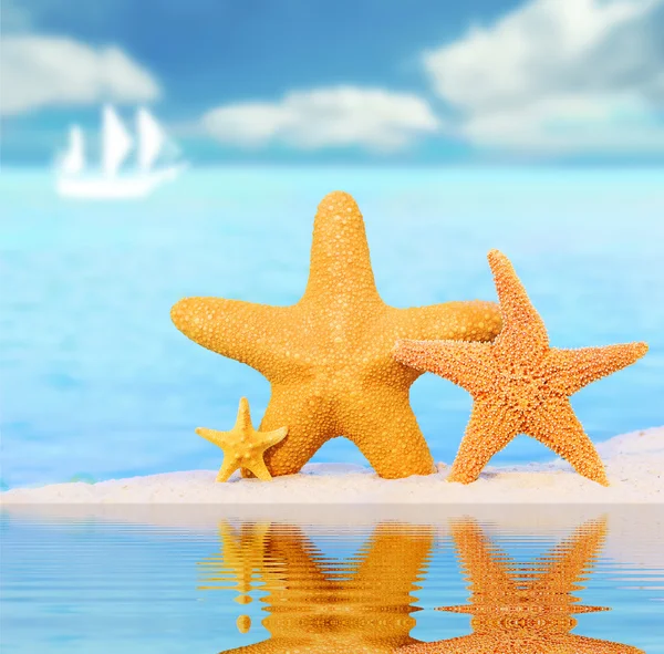 Starfish on the beach — Stock Photo, Image