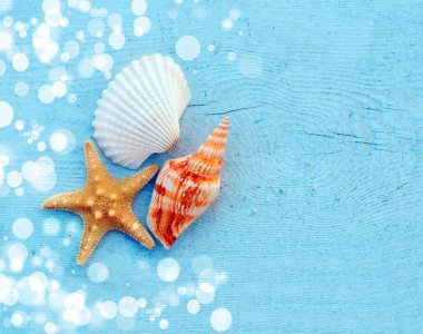 Seahells