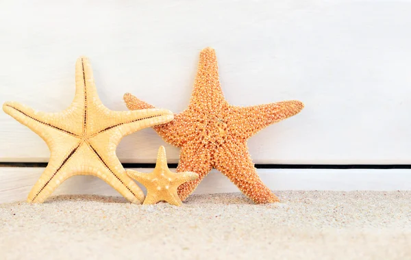 Estrella de mar en la playa —  Fotos de Stock