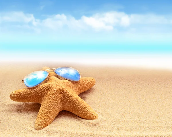 Plage d'été. étoile de mer dans les lunettes de soleil — Photo