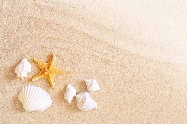 Starfish na praia.Praia de verão — Fotografia de Stock