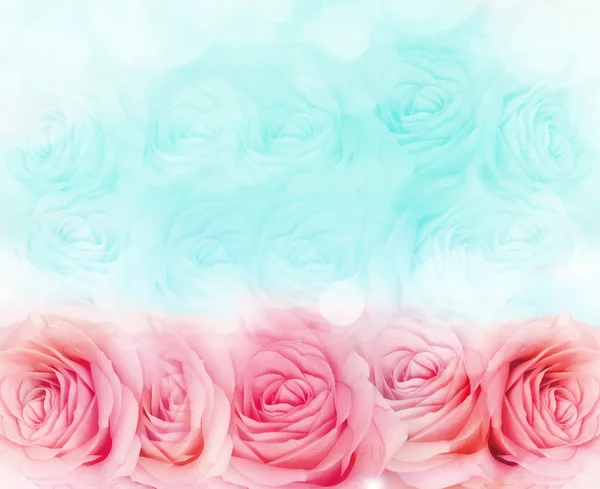 Flor rosa fundo — Fotografia de Stock