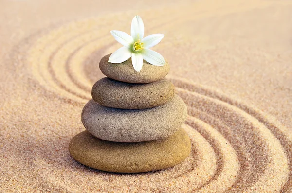 Spa concept. Flower and stones — Stock Photo, Image