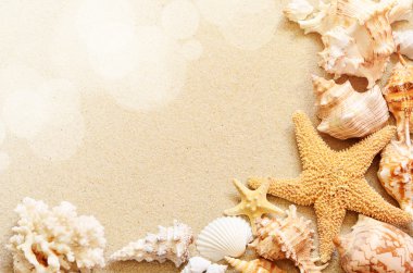 Deniz Sahil tropikal Beach üzerinde