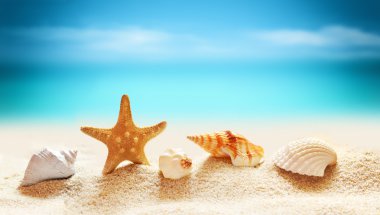 Deniz Sahil tropikal Beach üzerinde
