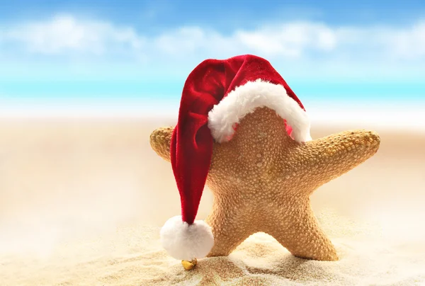 Sea-star in red santa hat walking at sea beach. — Stock Photo, Image