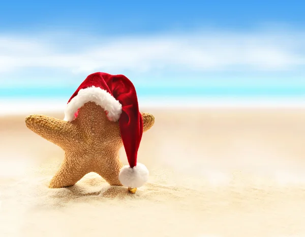 Estrella de mar en sombrero de santa rojo caminando en la playa del mar . —  Fotos de Stock