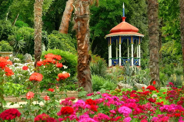 Blommande sommarträdgård och lusthus — Stockfoto