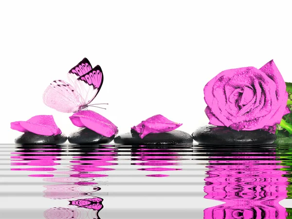 Mariposa, rosa, pétalos y piedras mojadas. Concepto Spa . — Foto de Stock