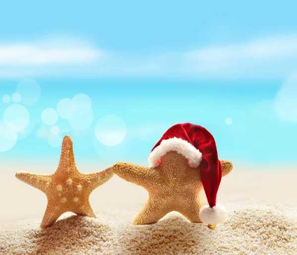 Santa hat on starfish at a beach — Stock Photo, Image