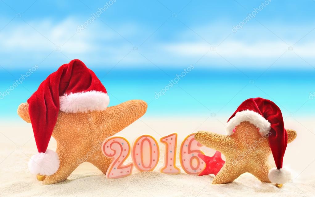 New year 2016 sign with starfish in Santa Claus hat