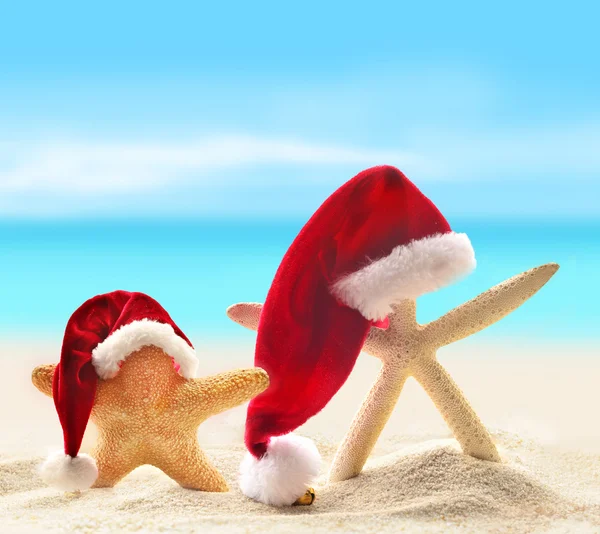 Starfish em santa hat na praia de verão — Fotografia de Stock
