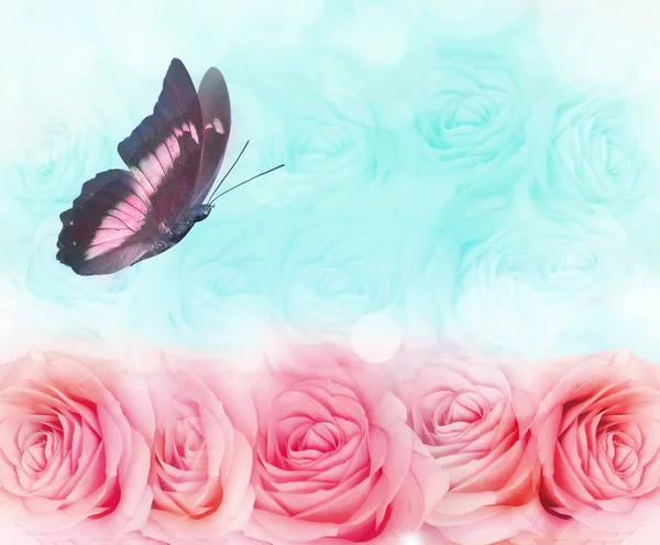 Colored butterfly hovering over a background of roses — Stock Photo, Image