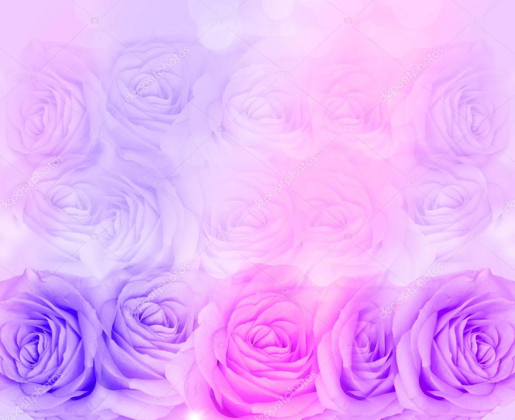 Exquisite Purple Background Rose Images for Your Phone Wallpaper