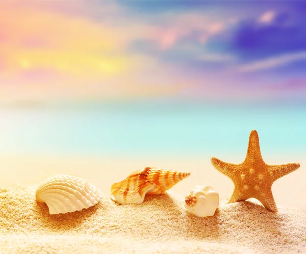 Snäckskal med havet, stranden och marinmålning — Stockfoto
