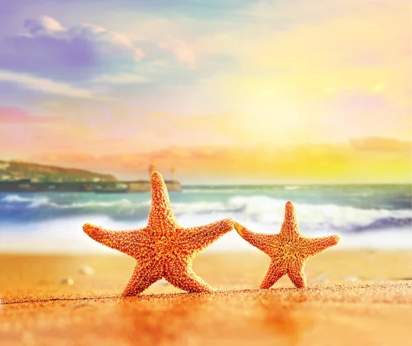 Estrella de mar sobre arena amarilla cerca del mar — Foto de Stock